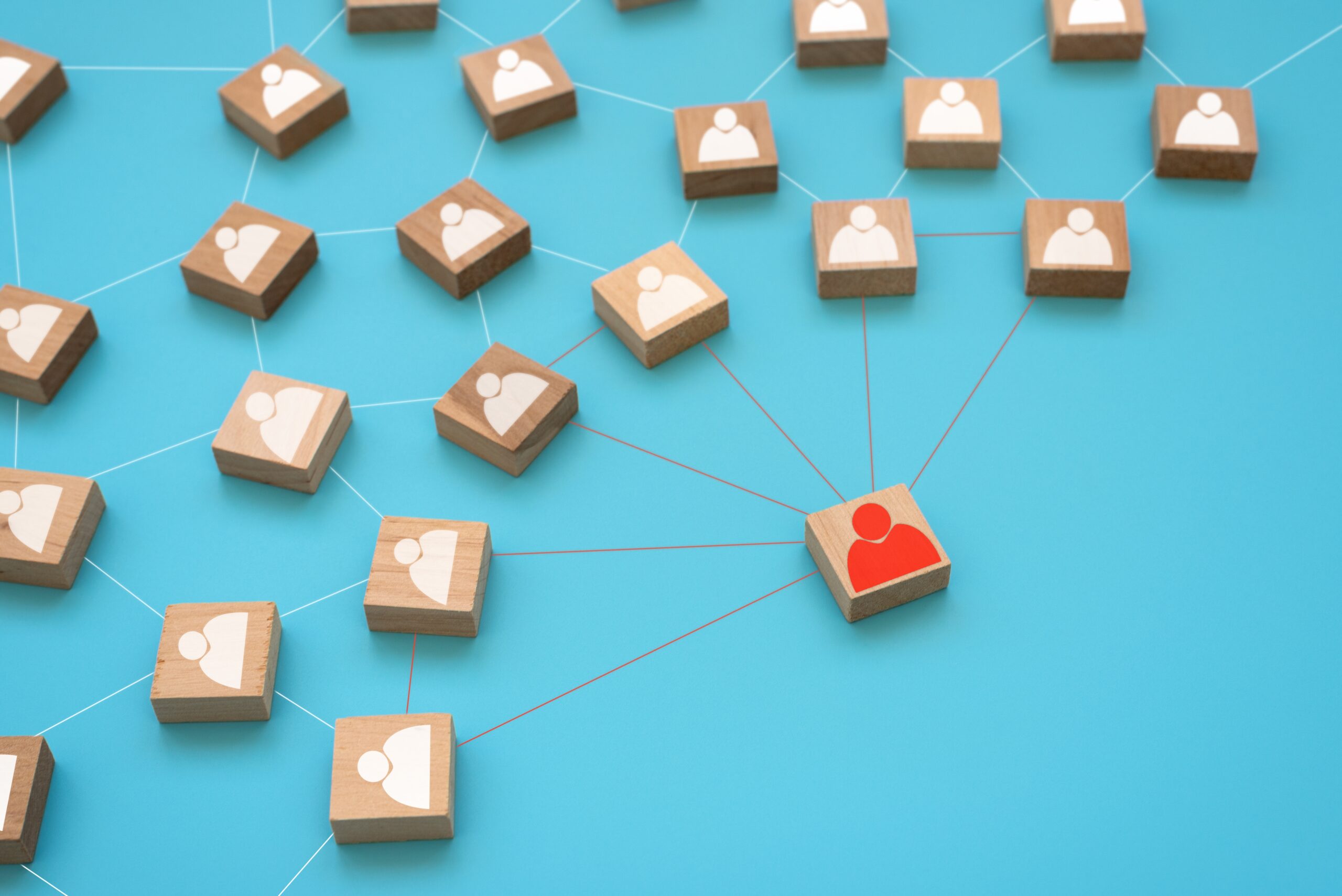 Representación visual de conexiones en red social con fichas de personas vinculadas a Enova Studios en Murcia