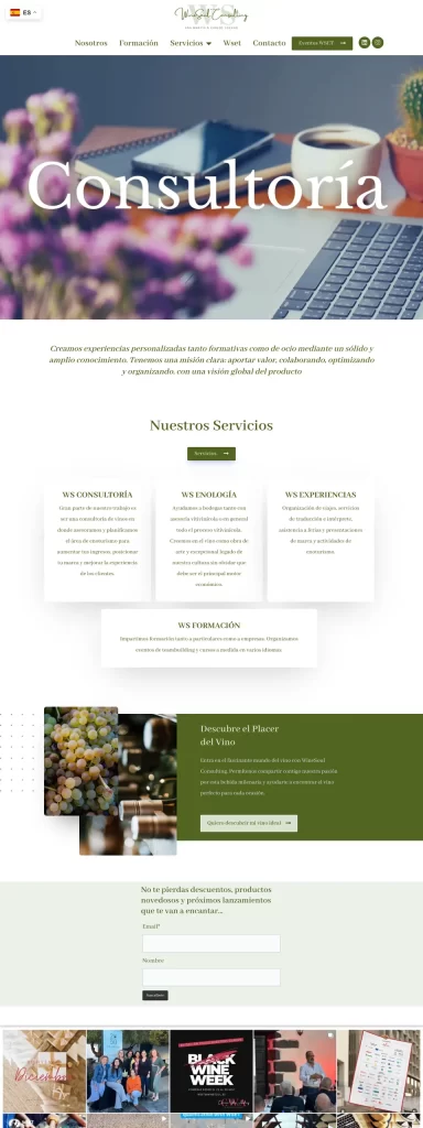 Página web de WineSoul Consulting